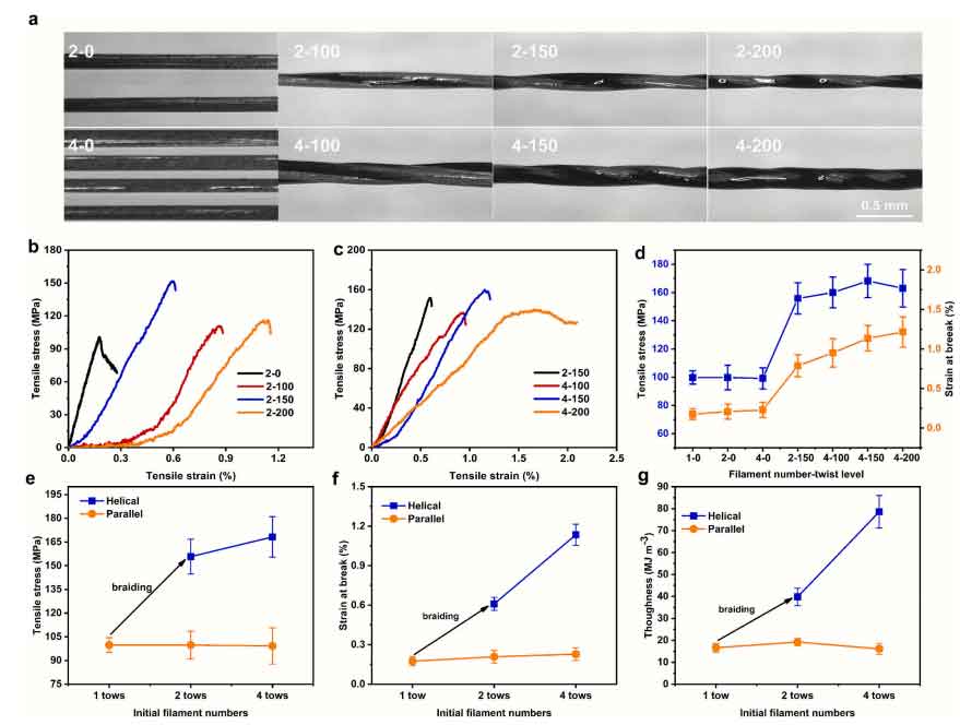 image-(2).jpg image-(2).jpg