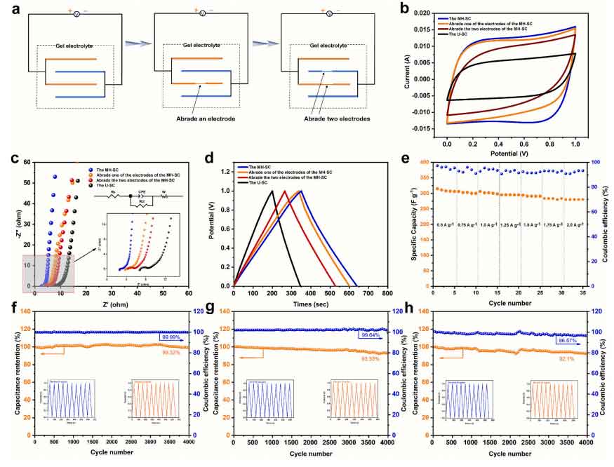 image-(5).jpg image-(5).jpg