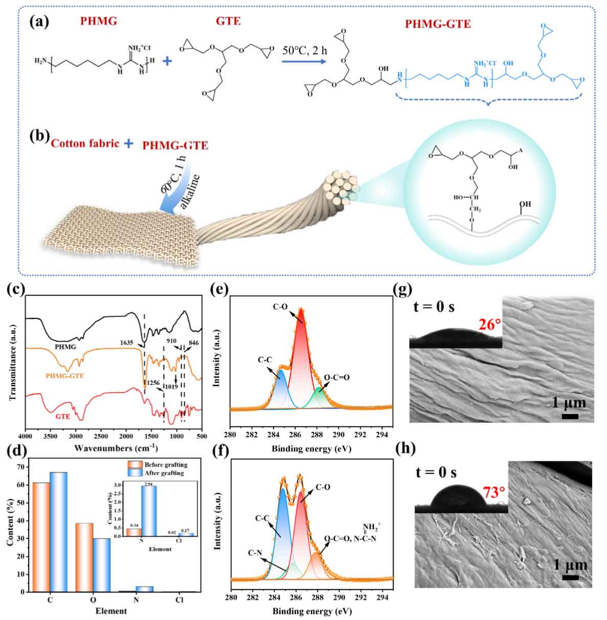 image-(2).jpg image-(2).jpg