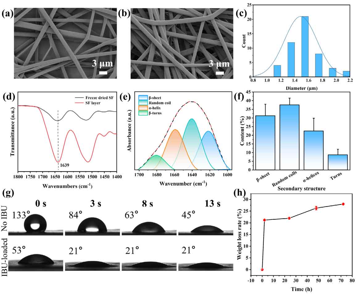 image-(5).jpg image-(5).jpg