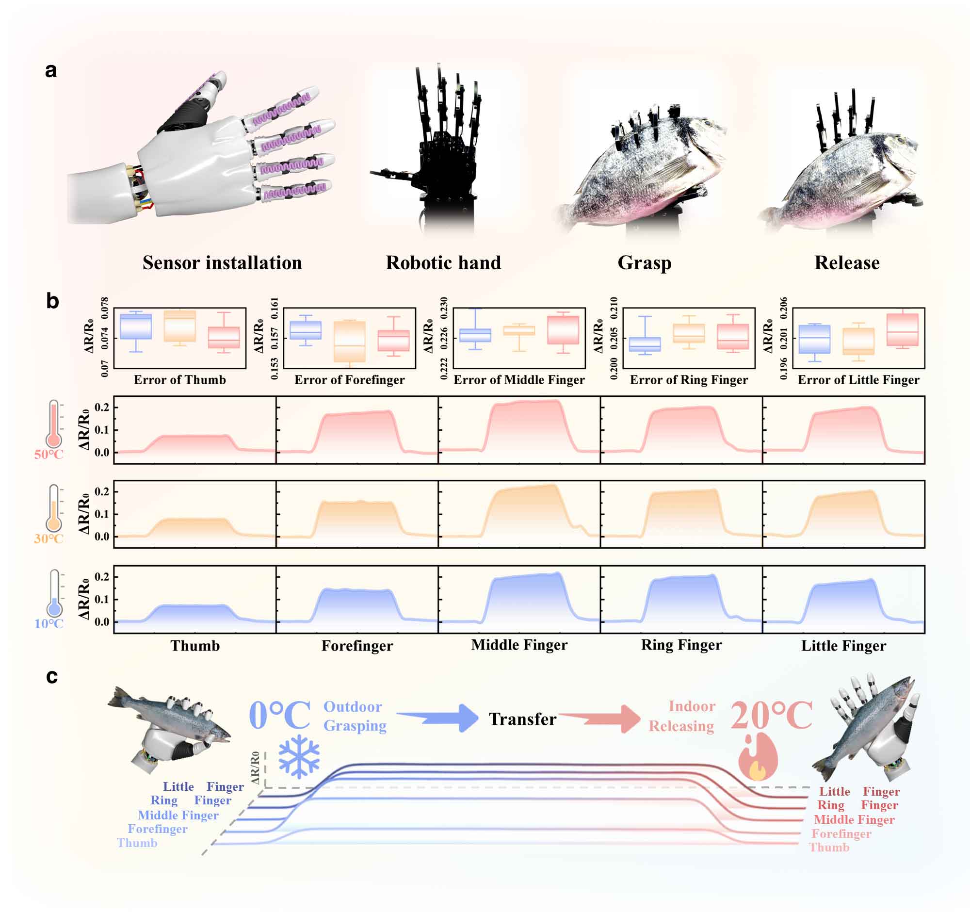 image-(6).jpg image-(6).jpg