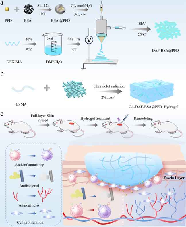 image-(1).jpg image-(1).jpg