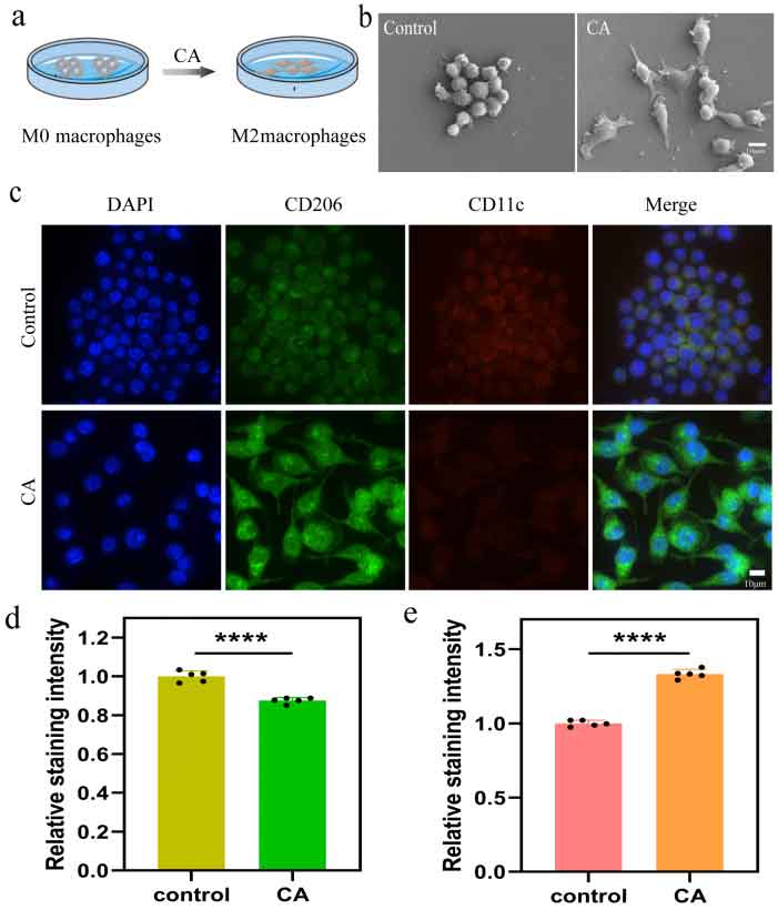 image-(4).jpg image-(4).jpg