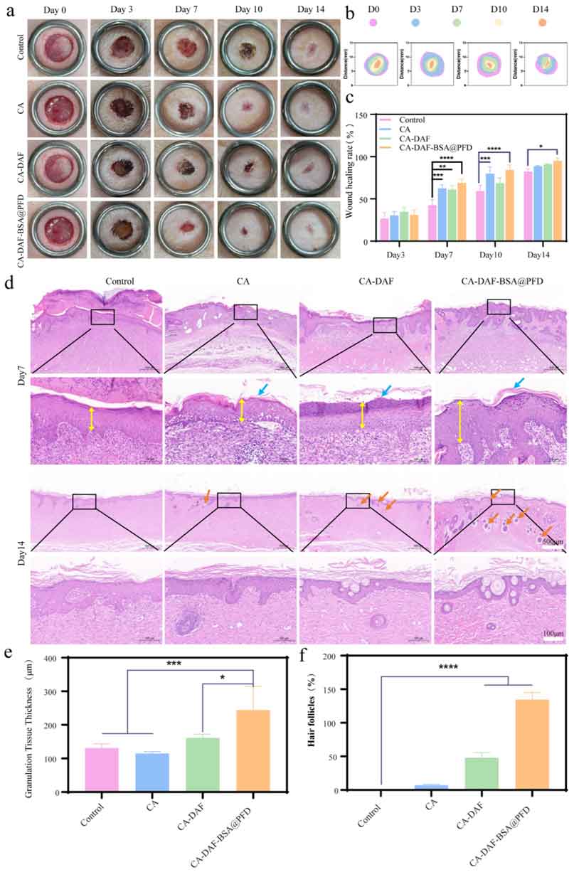 image-(5).jpg image-(5).jpg