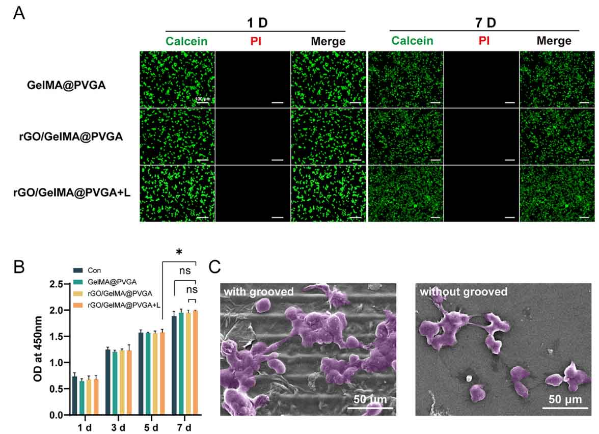 image-(4).jpg image-(4).jpg
