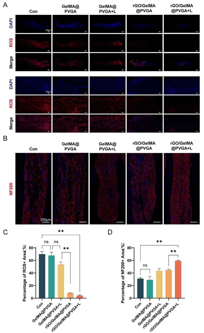 image-(6).jpg image-(6).jpg