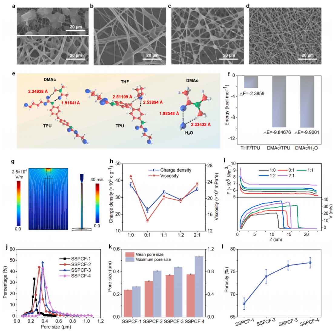 image-(2).jpg image-(2).jpg