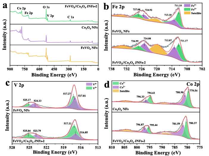 image-(7).jpg image-(7).jpg