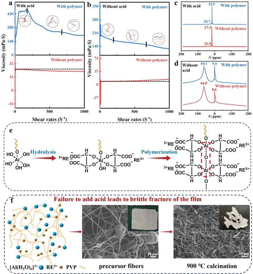 image-(2).jpg image-(2).jpg