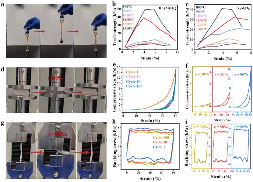 image-(5).jpg image-(5).jpg