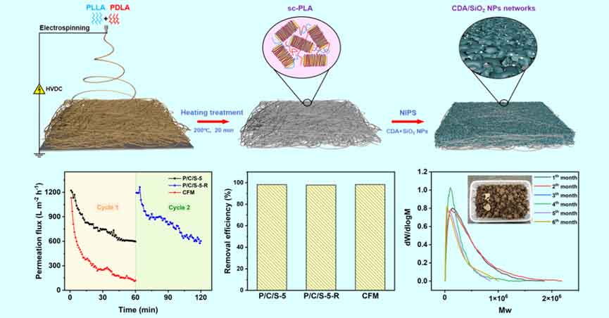 image-(1).jpg image-(1).jpg