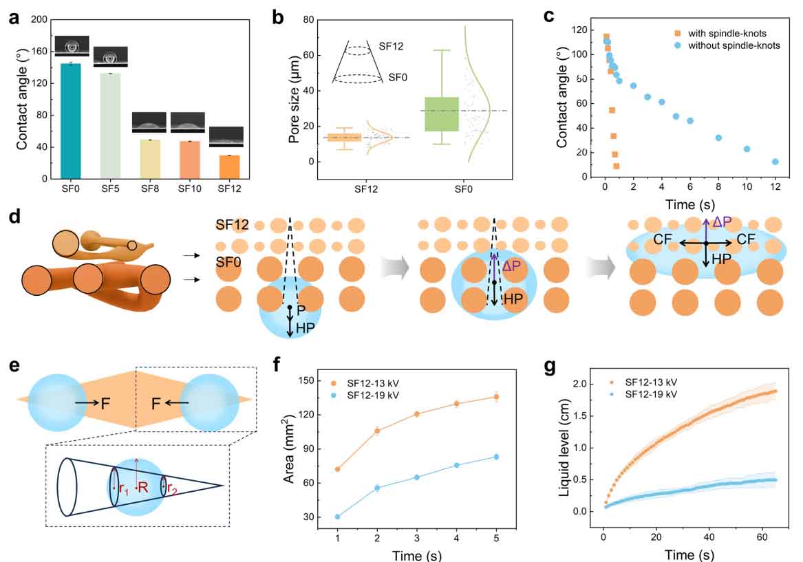 image-(2).jpg image-(2).jpg