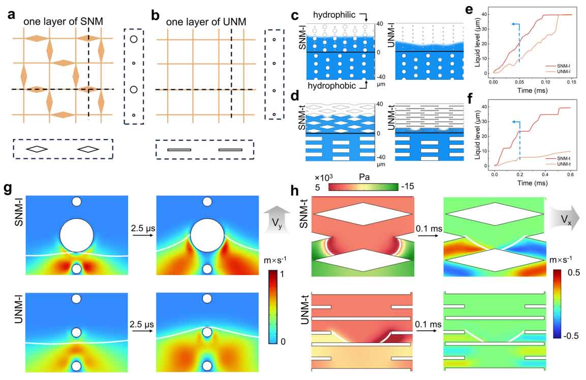 image-(3).jpg image-(3).jpg
