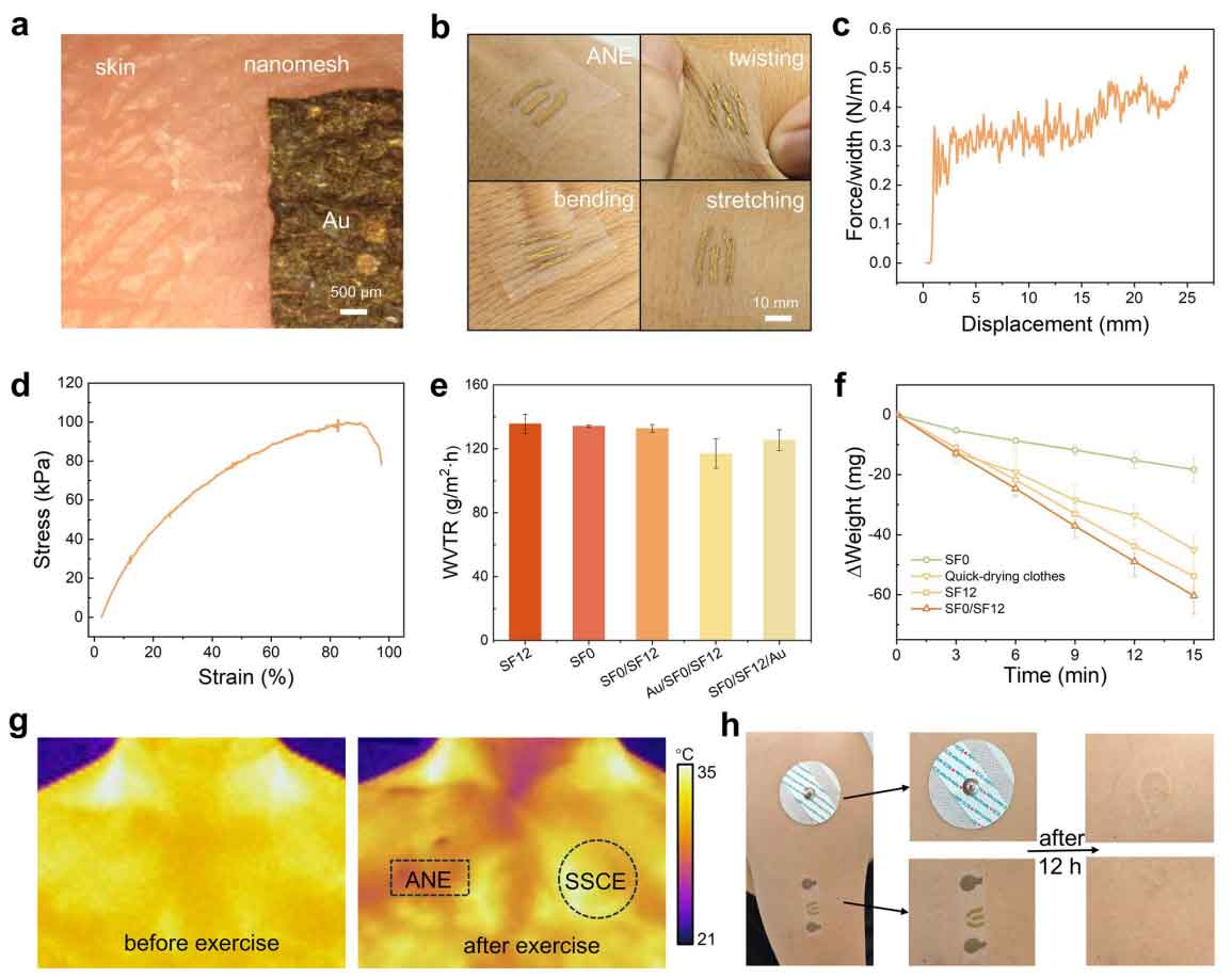 image-(4).jpg image-(4).jpg