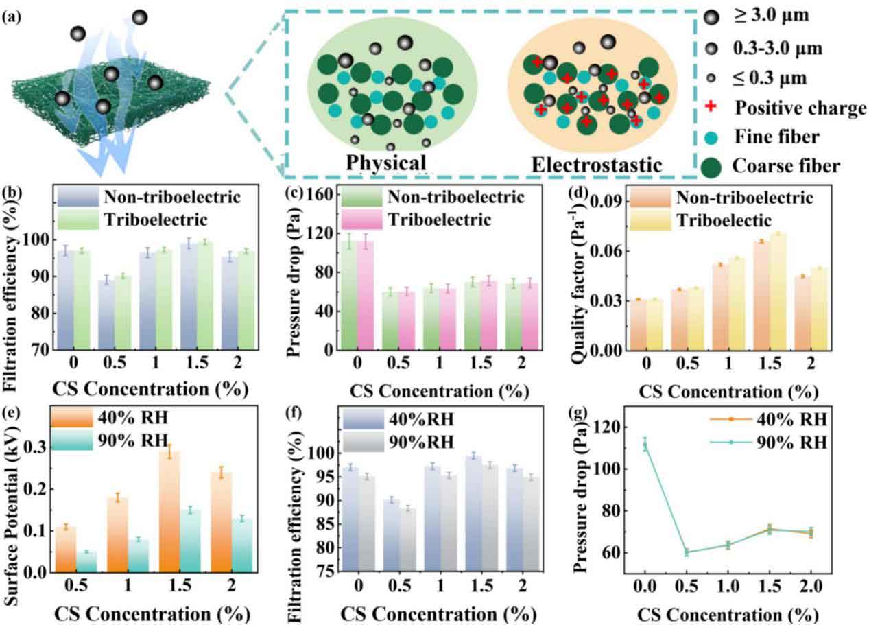 image-(2).jpg image-(2).jpg