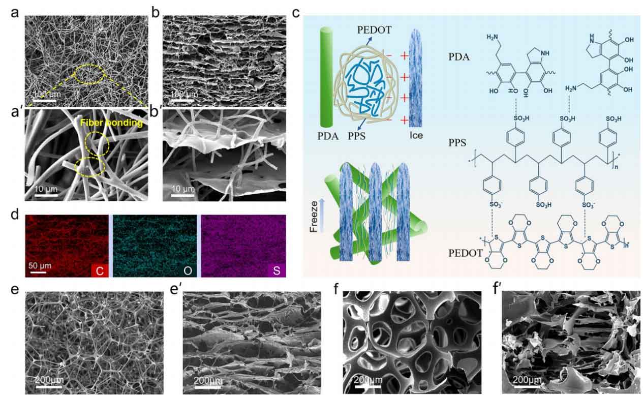 image-(2).jpg image-(2).jpg