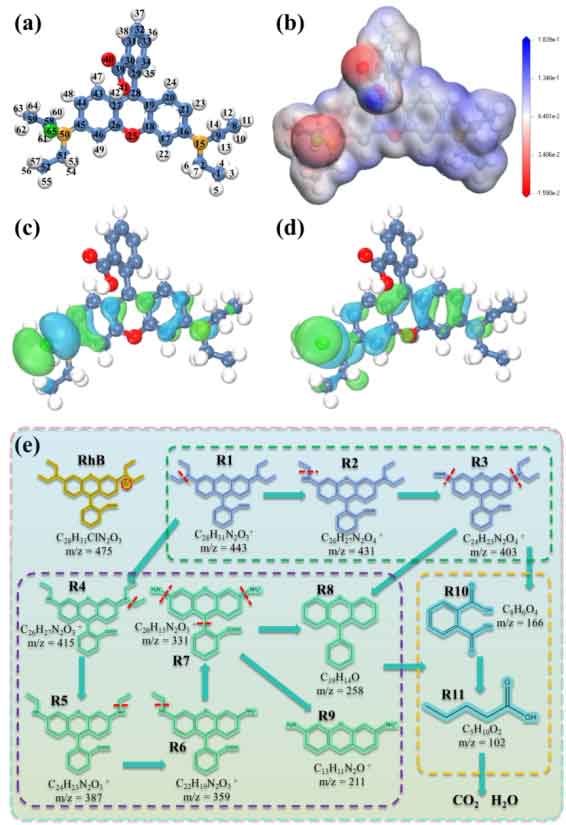 image-(5).jpg image-(5).jpg