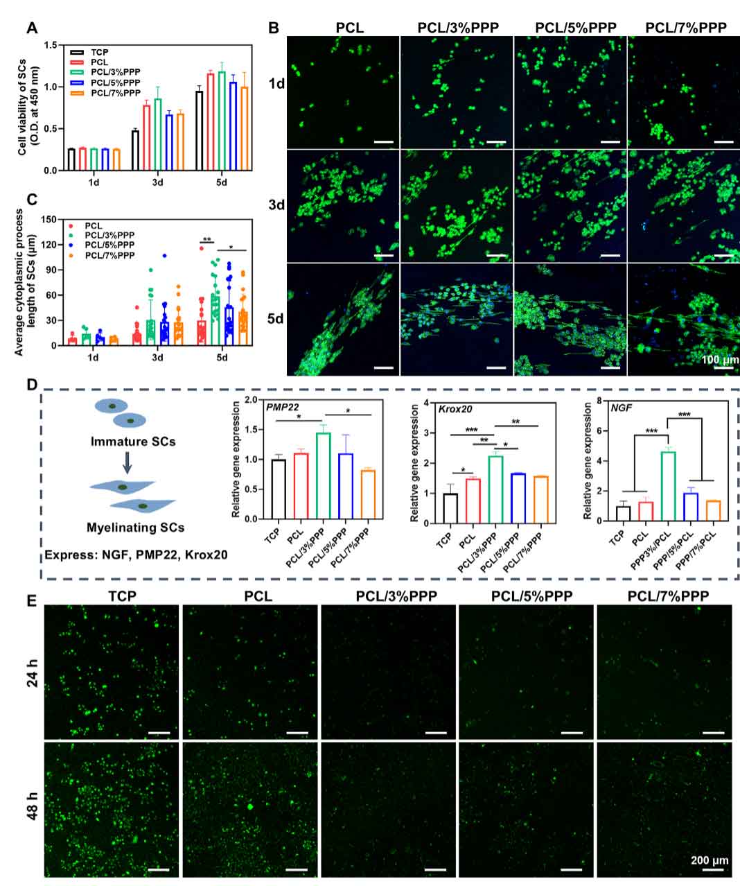 image-(3).jpg image-(3).jpg