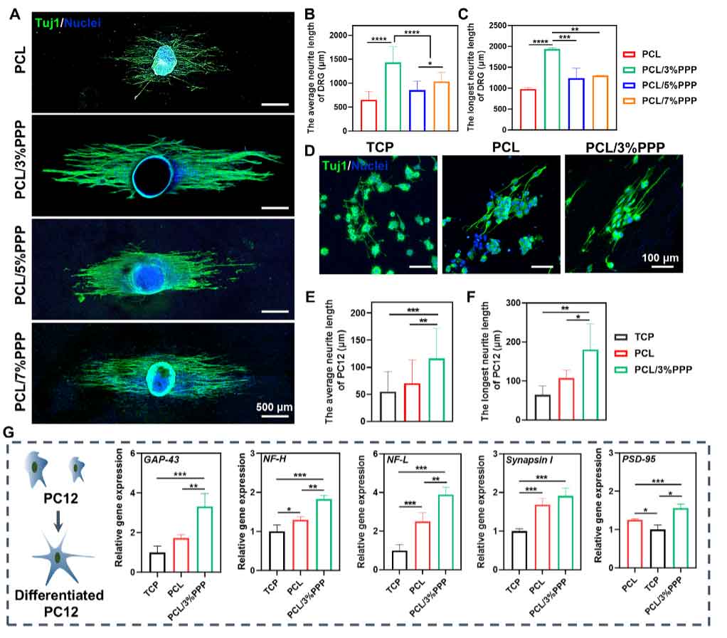 image-(4).jpg image-(4).jpg