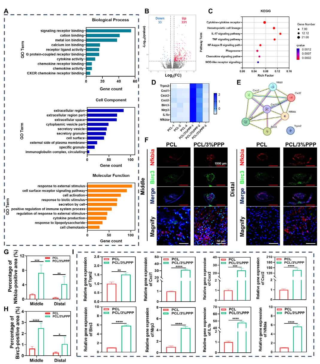 image-(9).jpg image-(9).jpg