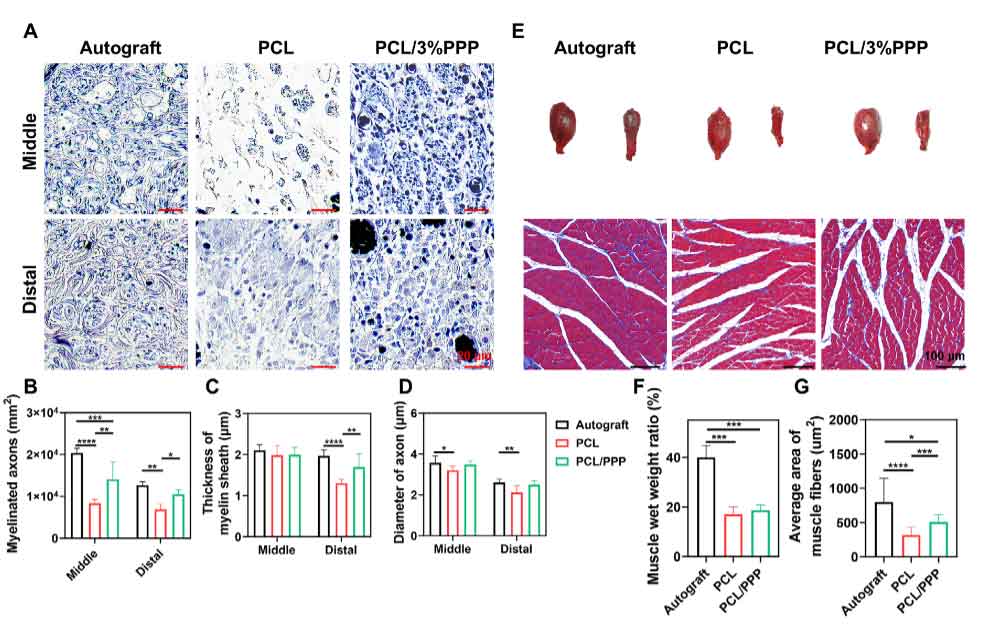 image-(8).jpg image-(8).jpg