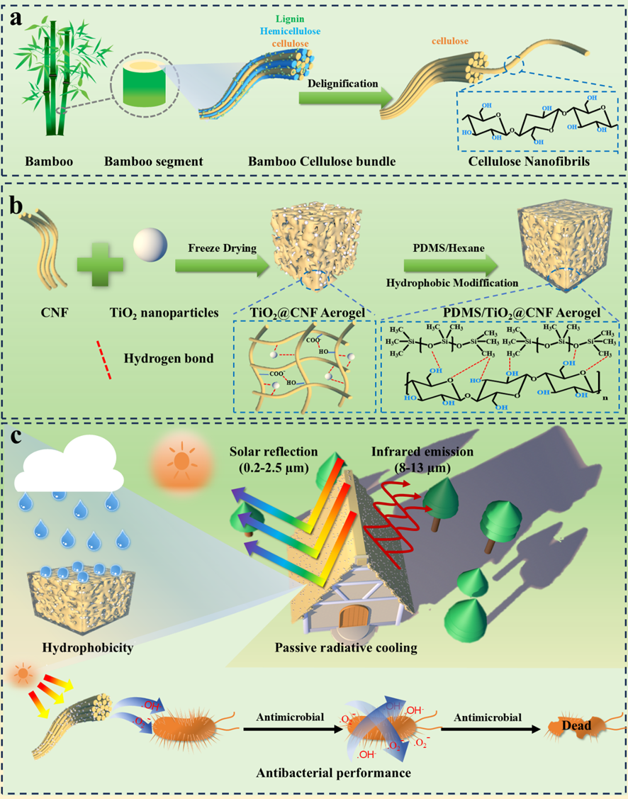 image (1).png image (1).png