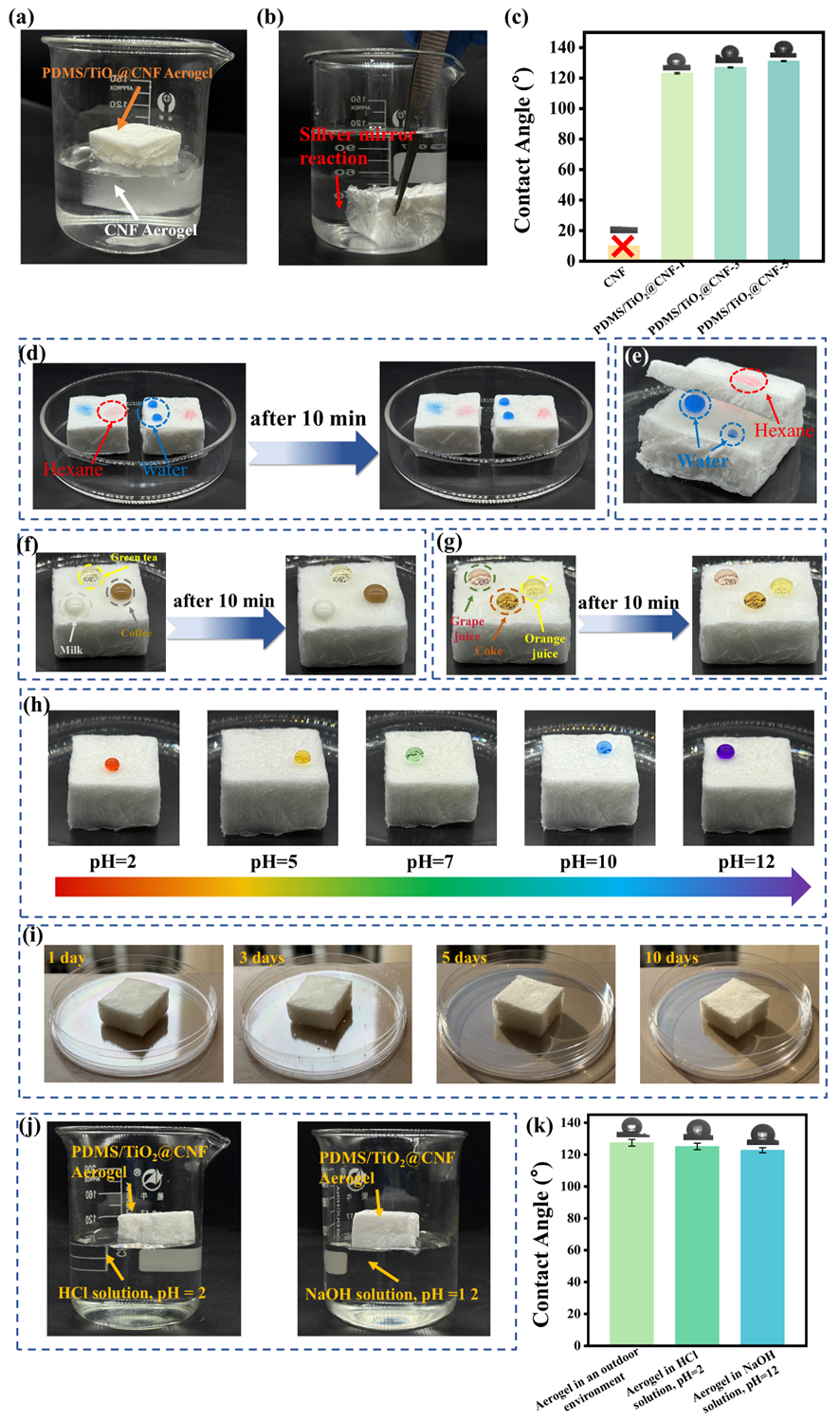 image (2).png image (2).png