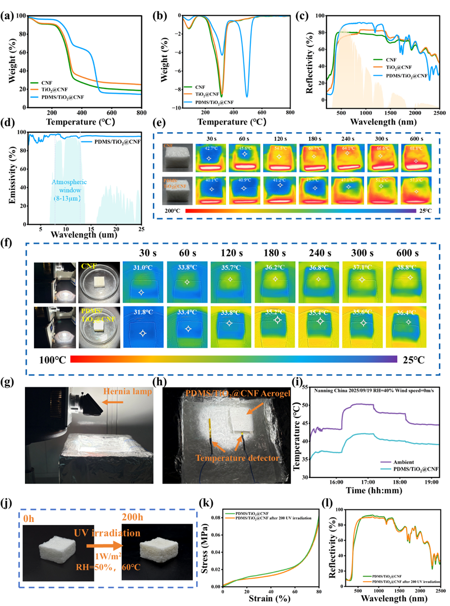 image (4).png image (4).png