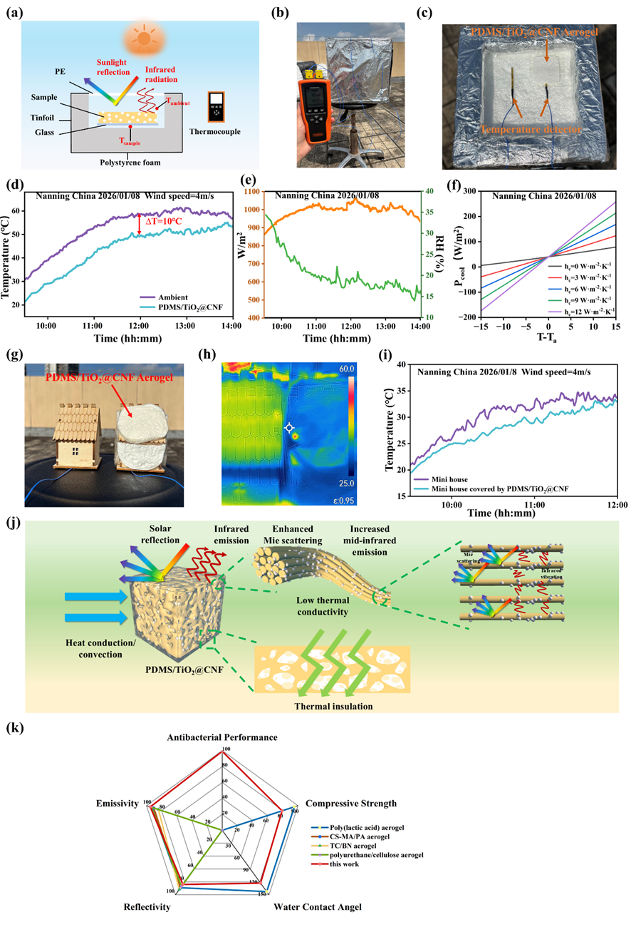 image (5).png image (5).png