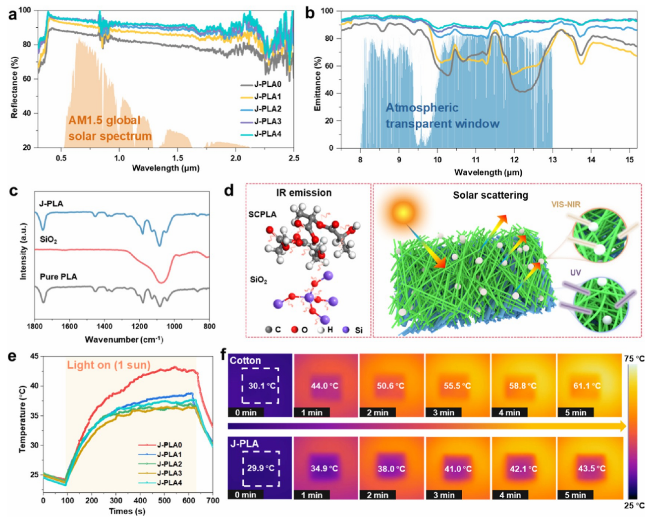 image (2).png image (2).png