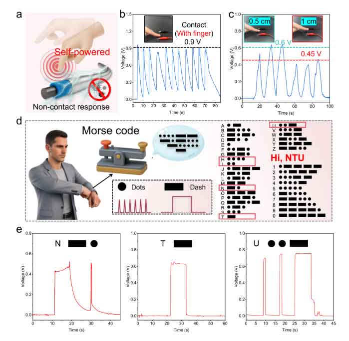 image-(5).jpg image-(5).jpg