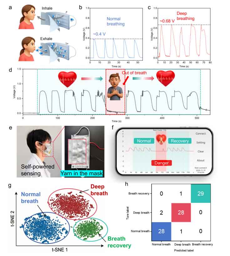 image-(6).jpg image-(6).jpg