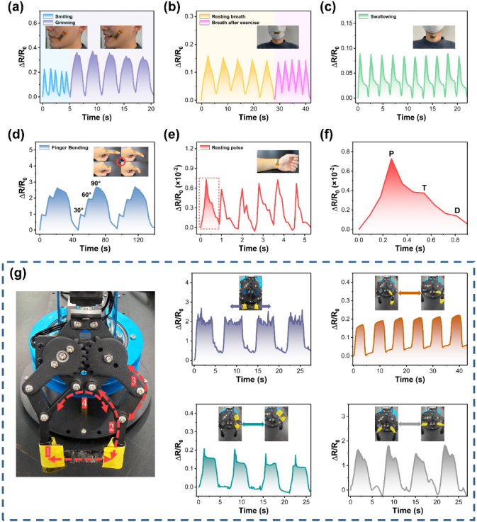 image (5).png image (5).png