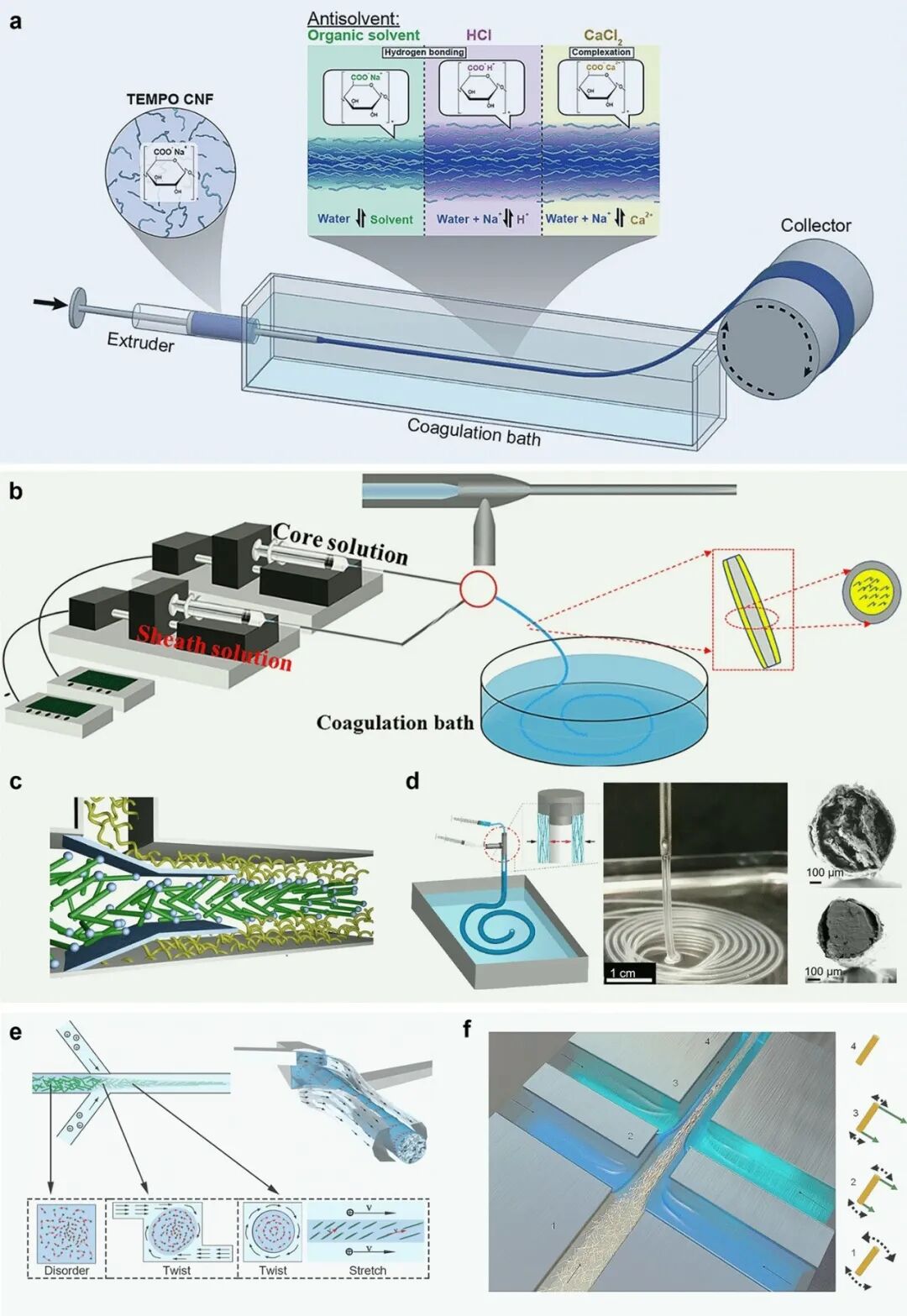 image (1).jpeg image (1).jpeg