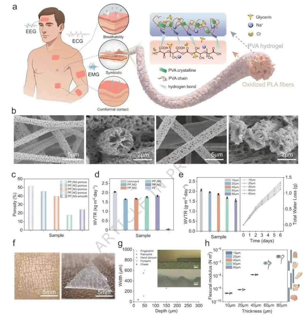 6.jpg 6.jpg