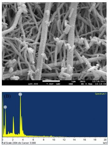 Int. J. Biol. Macromol.：SnO2聚合多孔纳米纤维在HRP/GOx双酶葡萄糖生物传感器设计中的应用