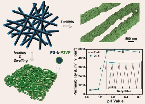 Macromolecules：静电纺丝嵌段共聚物构建高通量、响应性超滤膜