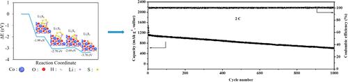 ACS Appl. Mater. Interfaces：核壳结构S@Co(OH)2碳纳米纤维层用于高性能锂硫电池正极