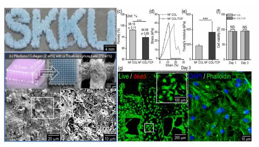 ACS Appl. Mater. Interfaces：原纤化胶原和pluronic F-127构建3D分层纳米纤维胶原支架用于骨组织再生