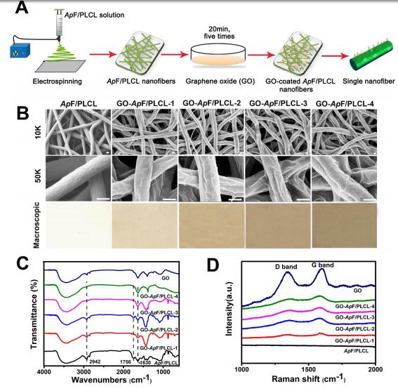 ACS Biomater. Sci. Eng.：氧化石墨纳米纤维支架用于促进周围神经再生