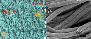 Sens Actuators B Chem.：合理设计介孔In2O3纳米纤维功能化Pt催化剂用于高性能丙酮气体传感器