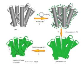 ChemistrySelect：掺杂剂的变化对聚苯胺/碳纳米纤维/聚甲基丙烯酸甲酯复合材料抑菌活性的影响