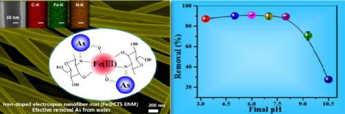J. Colloid Interface Sci.：铁掺杂电纺壳聚糖纳米纤维垫增强水溶液中亚砷酸盐的吸附