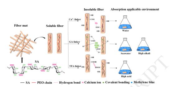 Carbohydr. Polym.：用于吸附分离亚甲基蓝的海藻酸钠电纺纳米纤维膜的可控合成