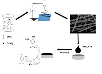 J. Electroanal. Chem.：静电纺丝MoS2复合碳纳米纤维检测香草醛