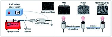 RSC Advances：基于PEDOT纳米纤维的安培葡萄糖生物传感器