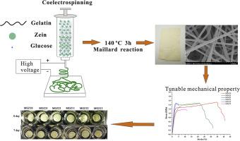 Food Hydrocolloids：电纺明胶/玉米醇溶蛋白交联纳米纤维的润湿性，力学性能和生物相容性的研究