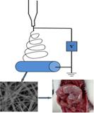 J APPL POLYM SCI：直径可控的抗组织粘连PEG/PLGA纳米纤维膜