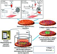 Biomaterials Science：电纺导电纳米纤维支架用于神经修复