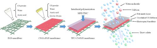 ACS Omega：交联壳聚糖中间层结构对TFC FO PAN纳米纤维膜性能的影响
